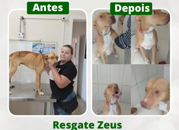 Primeira imagem de resgate